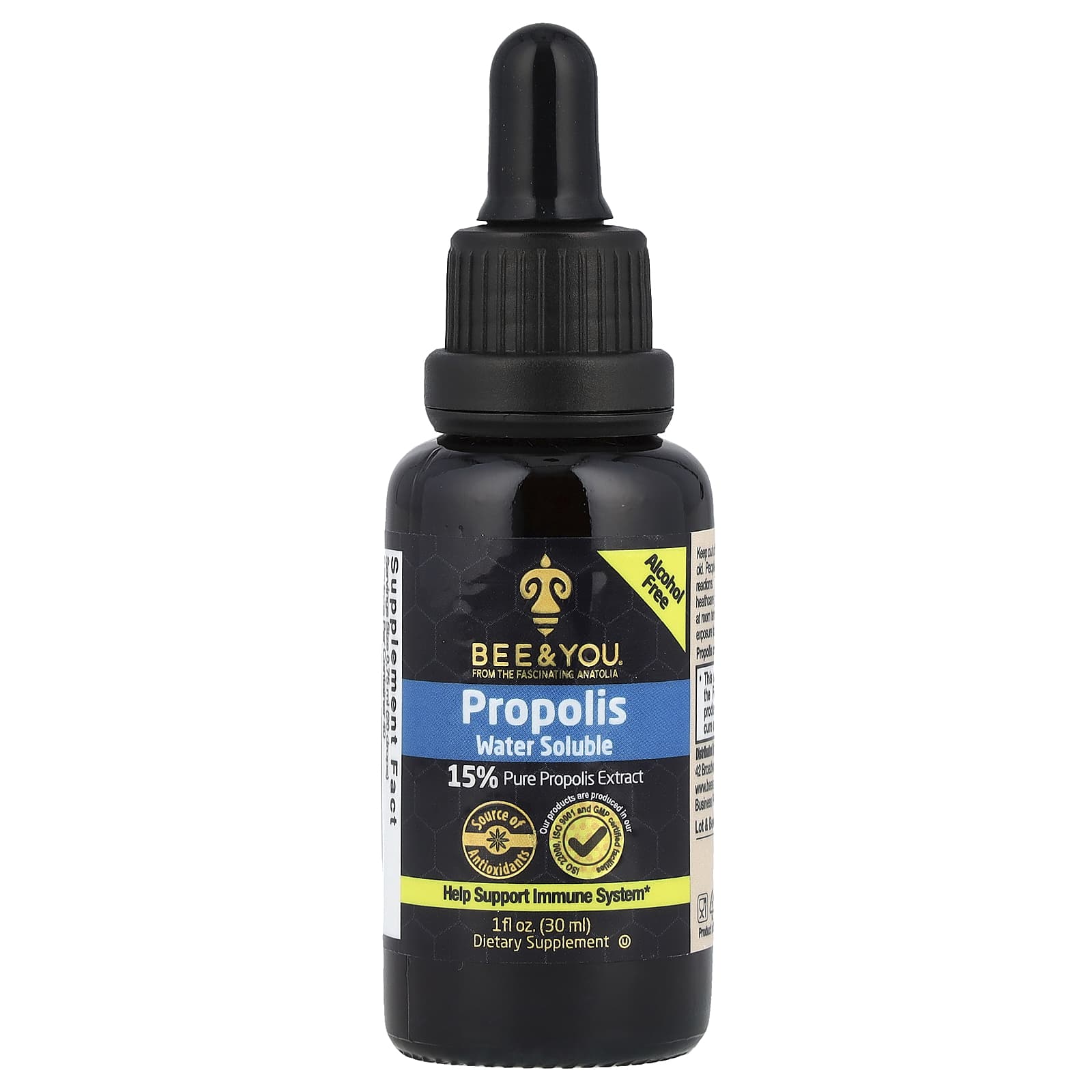 Bee & You, Propolis Water Soluble, Alcohol Free, 1 fl oz (30 ml)