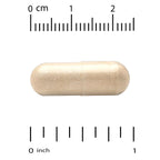 California Gold Nutrition, EuroHerbs™, Olive Leaf Extract, Euromed Quality, 500 mg, 60 Veggie Capsules
