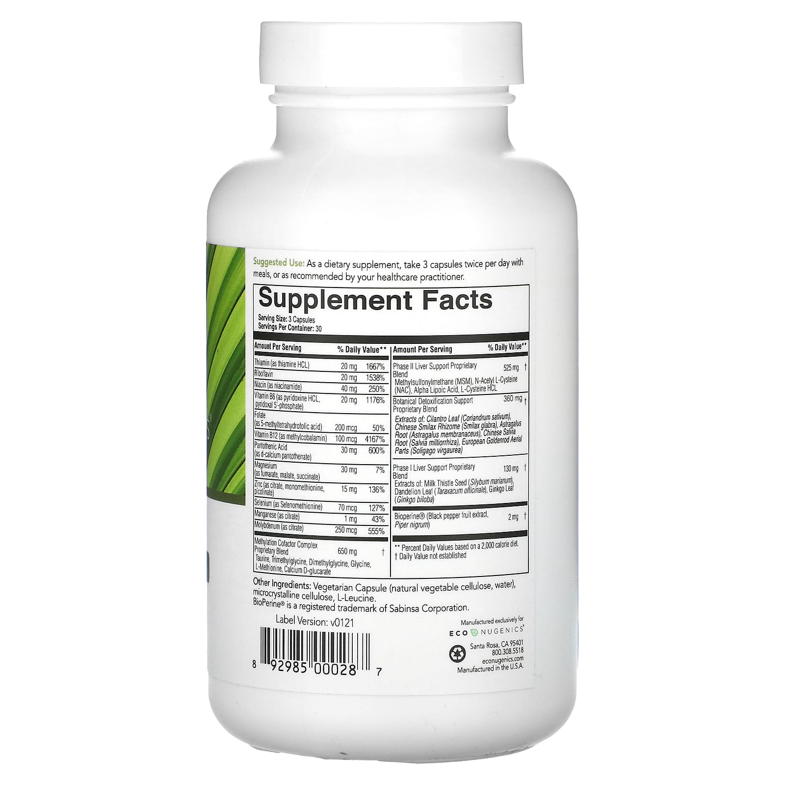 Econugenics, EcoDetox, 90 Vegetarian Capsules