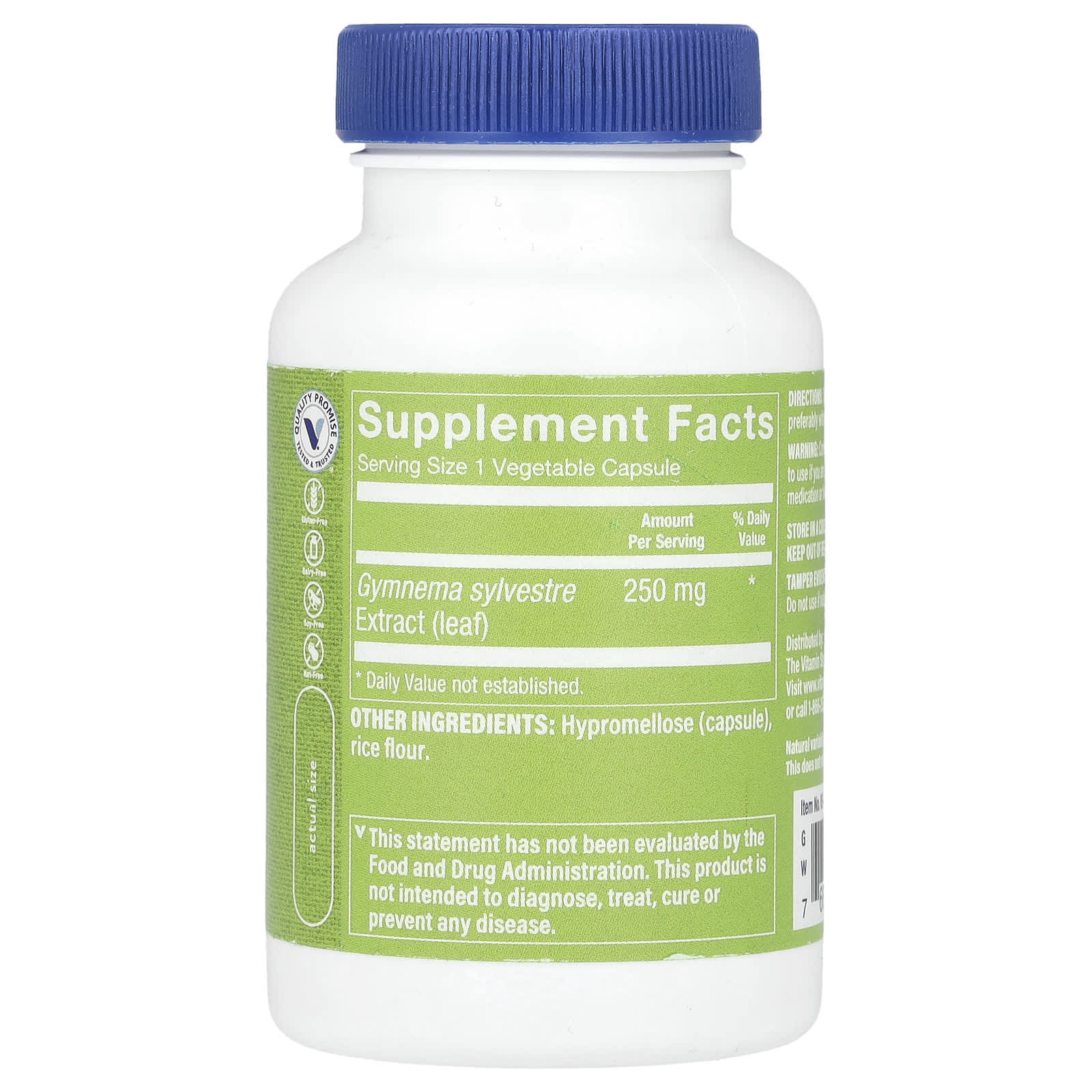 The Vitamin Shoppe, Gymnema Slyvestre, 250 mg, 120 Vegetable Capsules