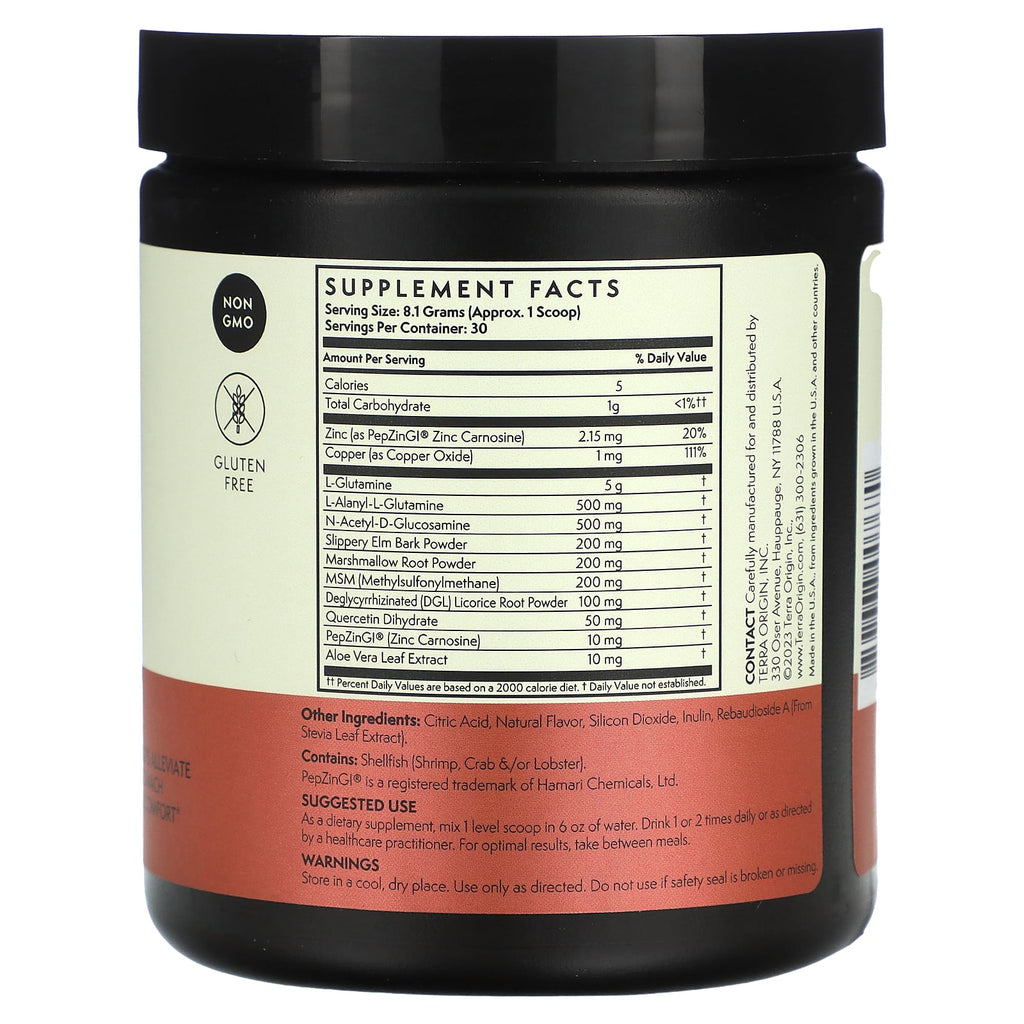 Terra Origin, Healthy Gut, Watermelon, 8.57 oz (243 g)