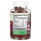 Nature's Craft, Adult Elderberry Gummies with Vitamin C & Zinc, Raspberry, 90 Gummies