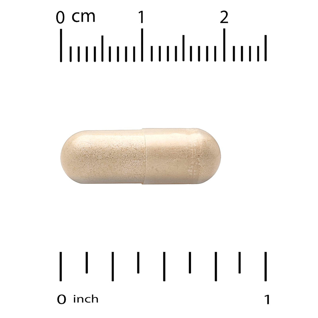 Super Nutrition, Organic Turkey Tail Mushroom, 60 Veggie Capsules (0.5 g per Capsule)