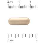 Super Nutrition, Organic Turkey Tail Mushroom, 60 Veggie Capsules (0.5 g per Capsule)