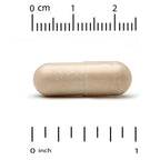Super Nutrition, Ginkgo PS Phytosome with Ginkgo Extract, 480 mg, 60 Veggie Capsules