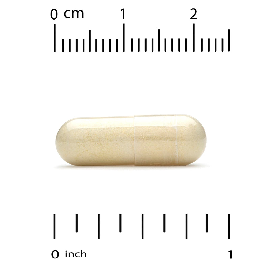 Super Nutrition, Vein Support with Diosmin, Butcher's Broom, Horse Chestnut, Bioflavonoids and Enzymes, 90 Veggie Capsules