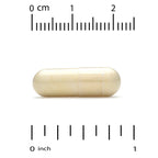 Super Nutrition, Vein Support with Diosmin, Butcher's Broom, Horse Chestnut, Bioflavonoids and Enzymes, 90 Veggie Capsules