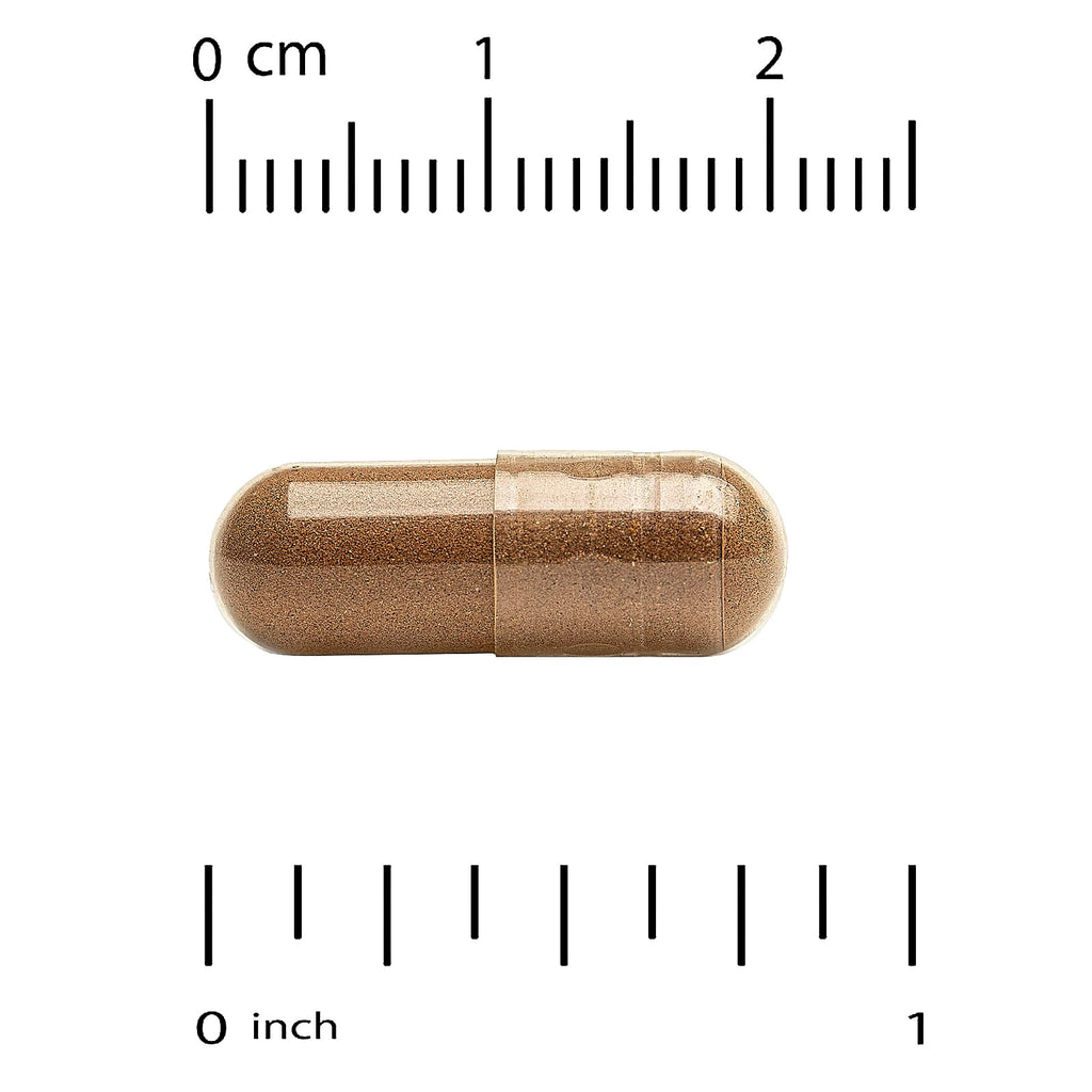 Super Nutrition, Organic Lion's Mane Mushroom + Ginger, 60 Veggie Capsules