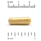Super Nutrition, Akkermansia 30B PLUS with Berberine Phospholipid Matrix, and OEA, 60 Veggie Capsules