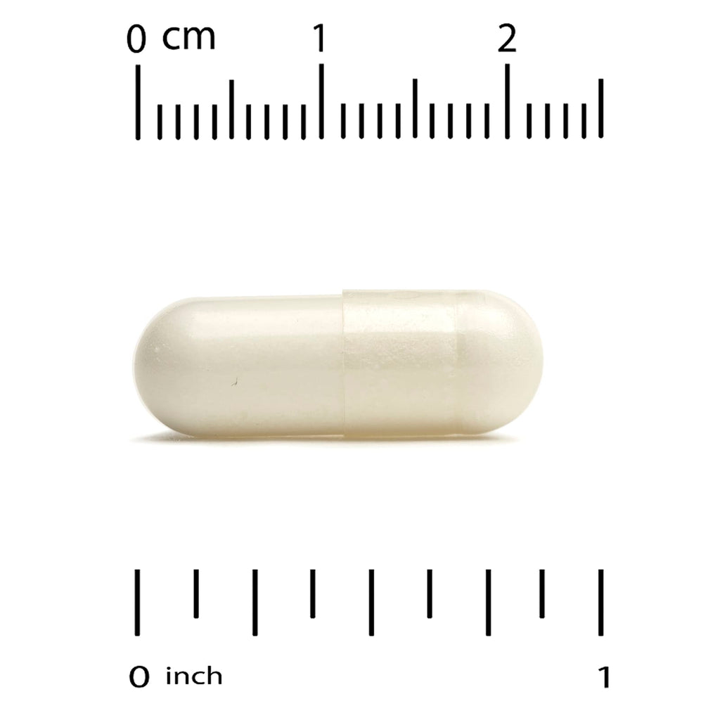 Super Nutrition, OEA Oleoylethanolamide, 125 mg, 120 Veggie Capsules