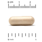 Super Nutrition, Immune Support with Arabinogalactan, Maitake Mushroom Extract, Eleuthero Extract, and Green Tea Extract, 60 Veggie Capsules