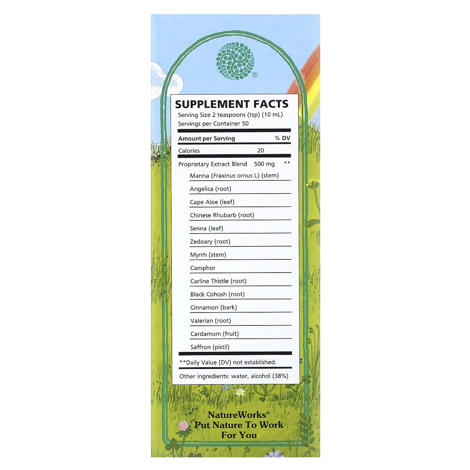 Nature's Way, NatureWorks, Swedish Bitters, 16.9 fl oz (500 ml)