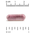 Super Nutrition, Cranberry Phytosome Anthocran®, 120 mg, 60 Veggie Capsules