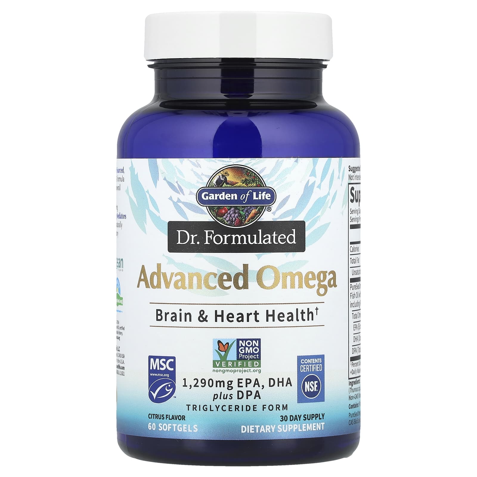 Garden of Life, Dr. Formulated, Advanced Omega, Citrus, 60 Softgels (645 mg per Softgel)