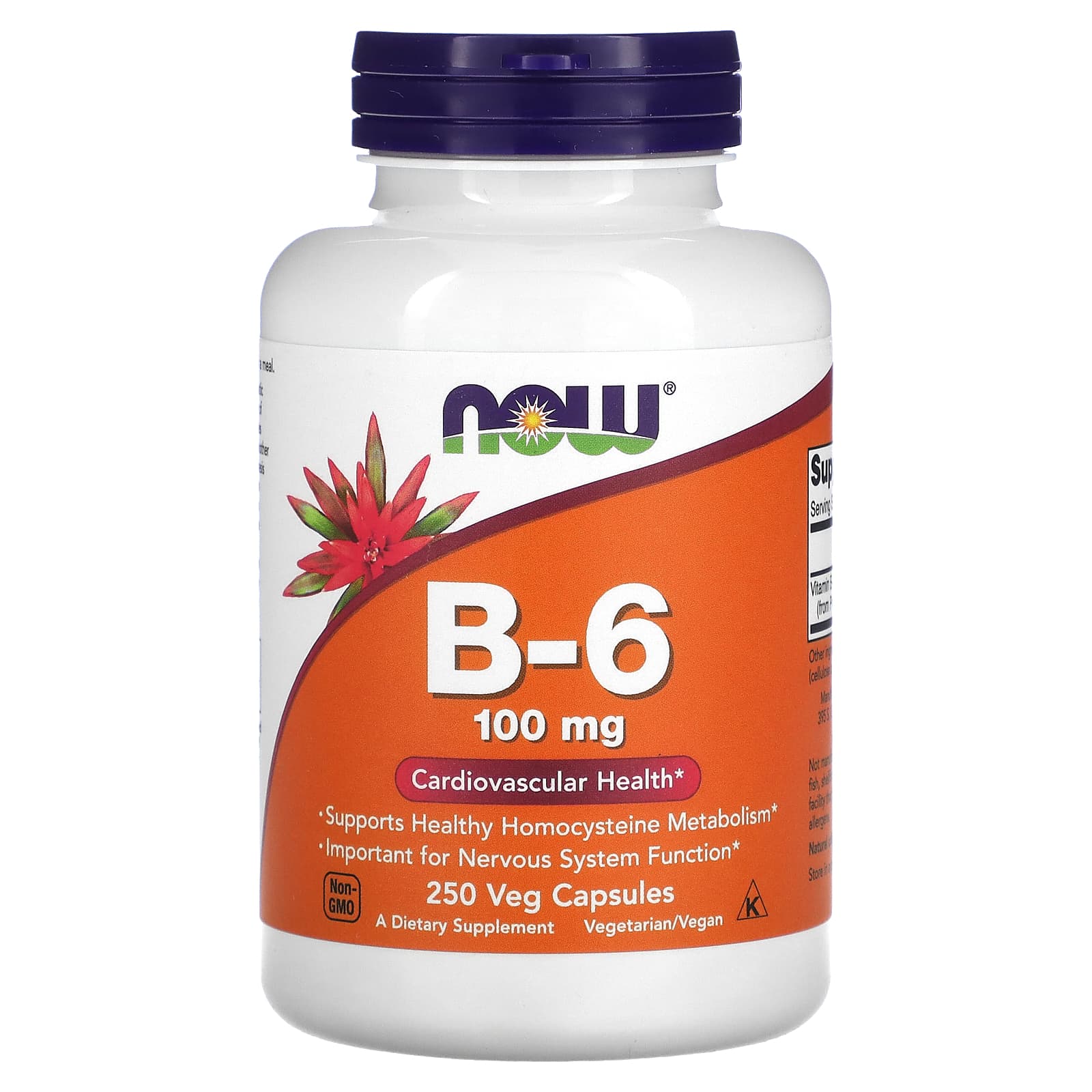 NOW Foods, B-6, 100 mg, 250 Veg Capsules
