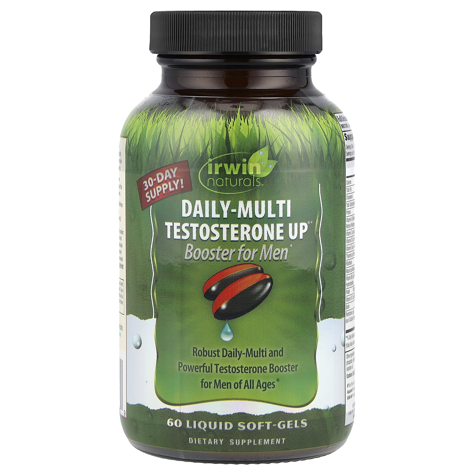 Irwin Naturals, Daily-Multi Testosterone Up ® Booster For Men, 60 Liquid Soft-Gels