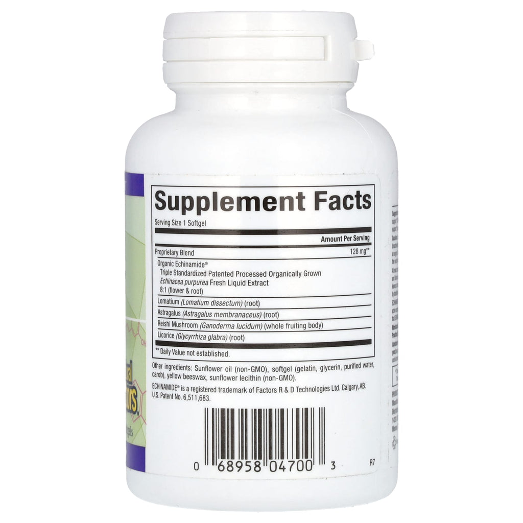 Natural Factors, Anti-V Formula, with Clinically Proven Echinamide, 60 Softgels