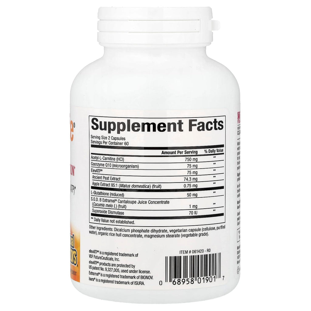 Natural Factors, RegenerLife®, Optimize Mitochondrial Function, 120 Vegetarian Capsules