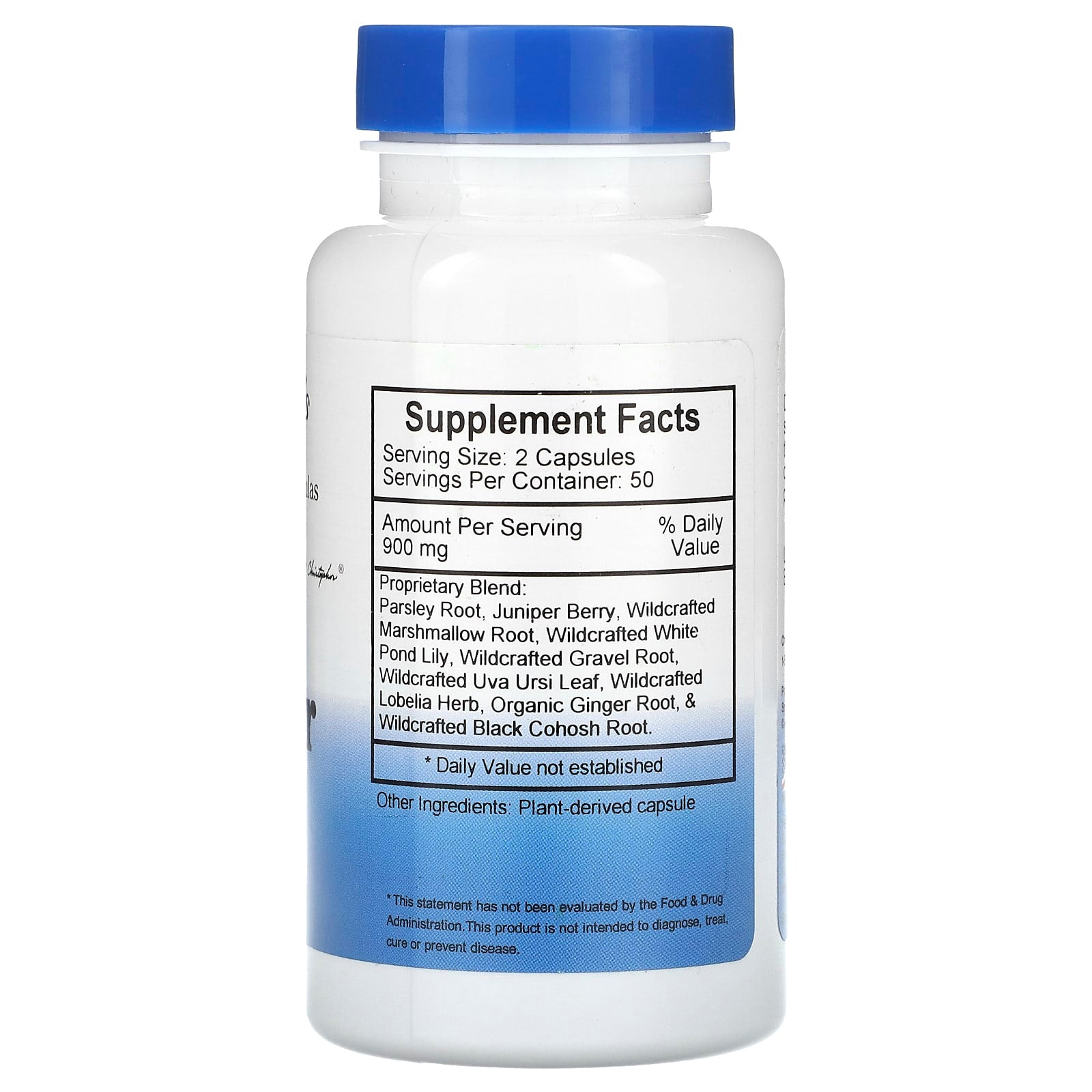 Christopher's Original Formulas, Bladder Formula, 450 mg, 100 Vegetarian Caps