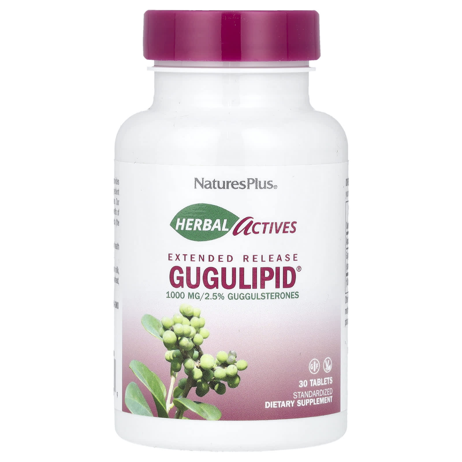 NaturesPlus, Herbal Actives, Gugulipid®, Extended Release, 1,000 mg, 30 Tablets