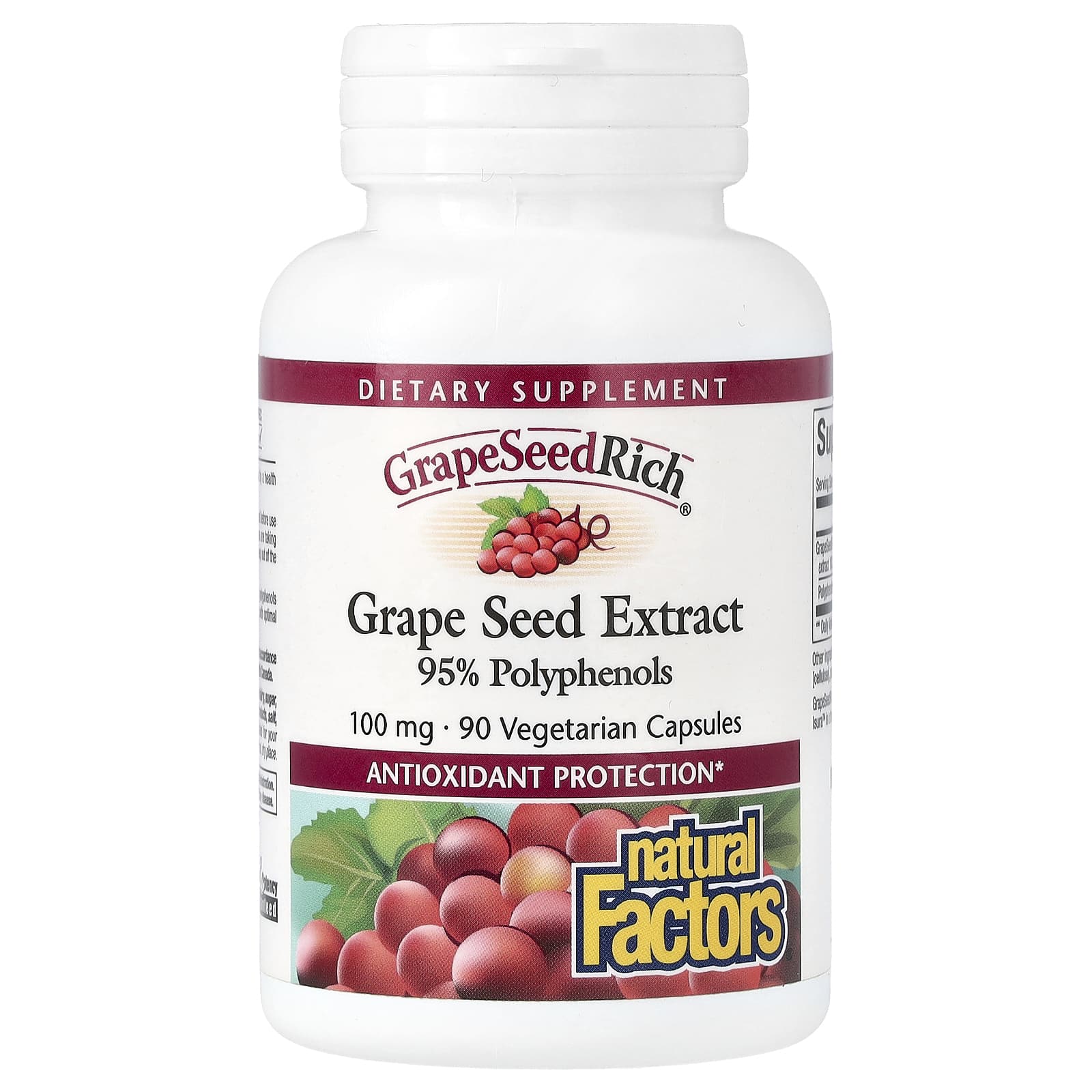 Natural Factors, GrapeSeedRich, Grape Seed Extract, 100 mg, 90 Vegetarian Capsules
