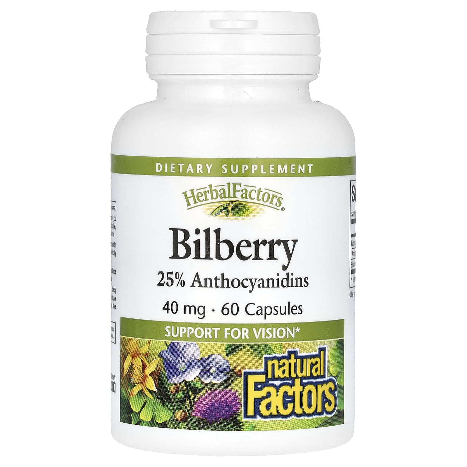 Natural Factors, Bilberry, 40 mg, 60 Capsules