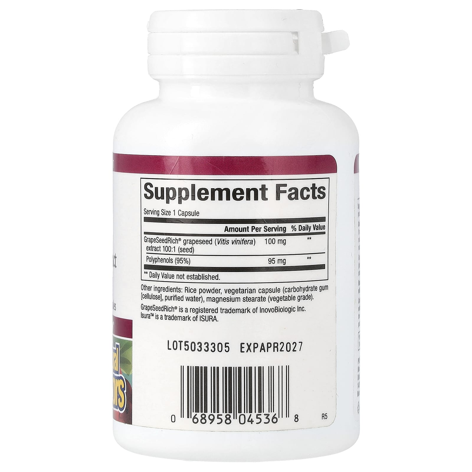 Natural Factors, GrapeSeedRich, Grape Seed Extract, 100 mg, 90 Vegetarian Capsules