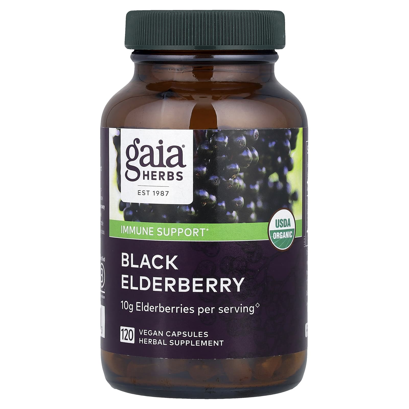 Gaia Herbs, Black Elderberry , 120 Vegan Capsules