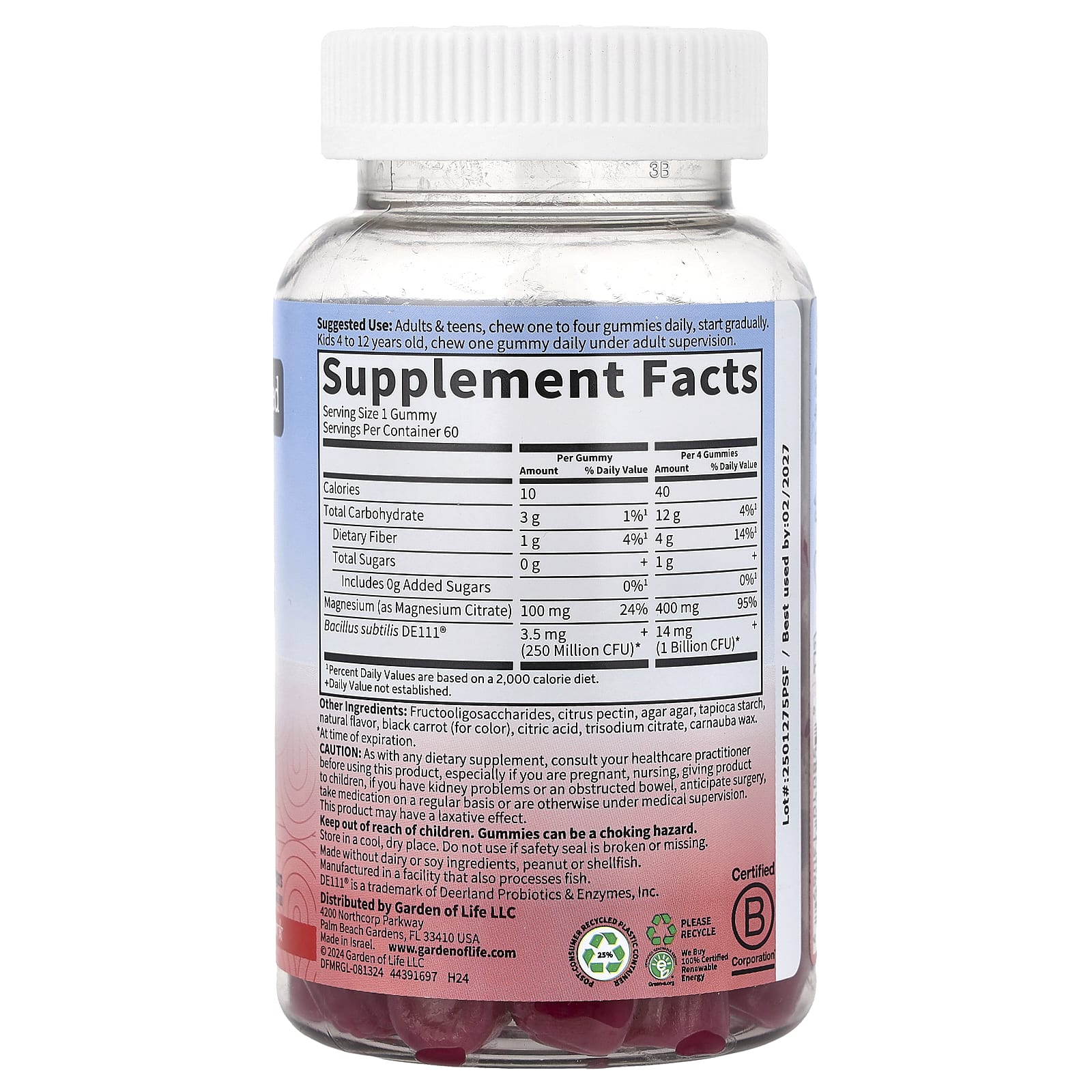 Garden of Life, Magnesium with Pre & Probiotics Gummies, Raspberry , 60 Gummies
