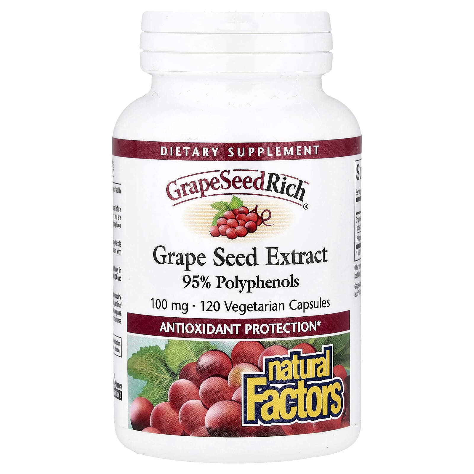 Natural Factors, GrapeSeedRich®, Grape Seed Extract, 100 mg, 120 Vegetarian Capsules