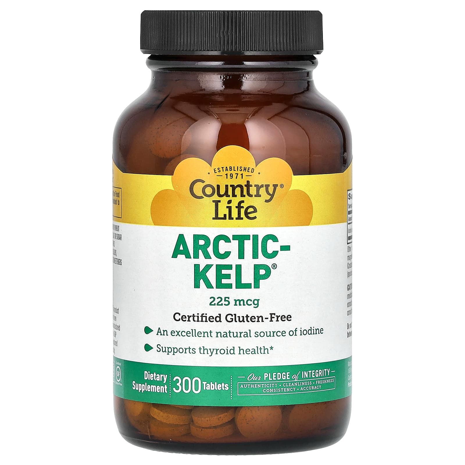 Country Life, Arctic-Kelp, 225 mcg, 300 Tablets