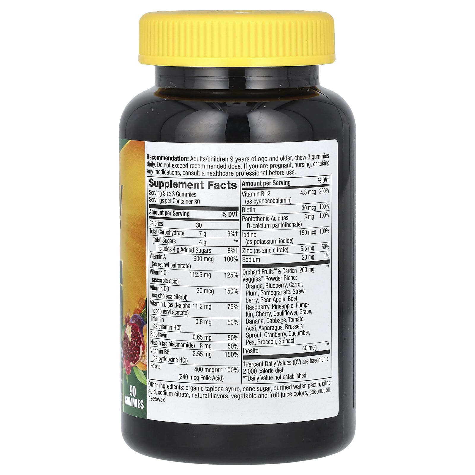 Nature's Way, Alive! Adult Premium Gummies Multivitamin, Grape and Cherry, 90 Gummies