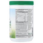 Garden of Life, Raw Organic Perfect Food®, Green Superfood, Juiced Greens Powder, Original, 14.6 oz (414 g)