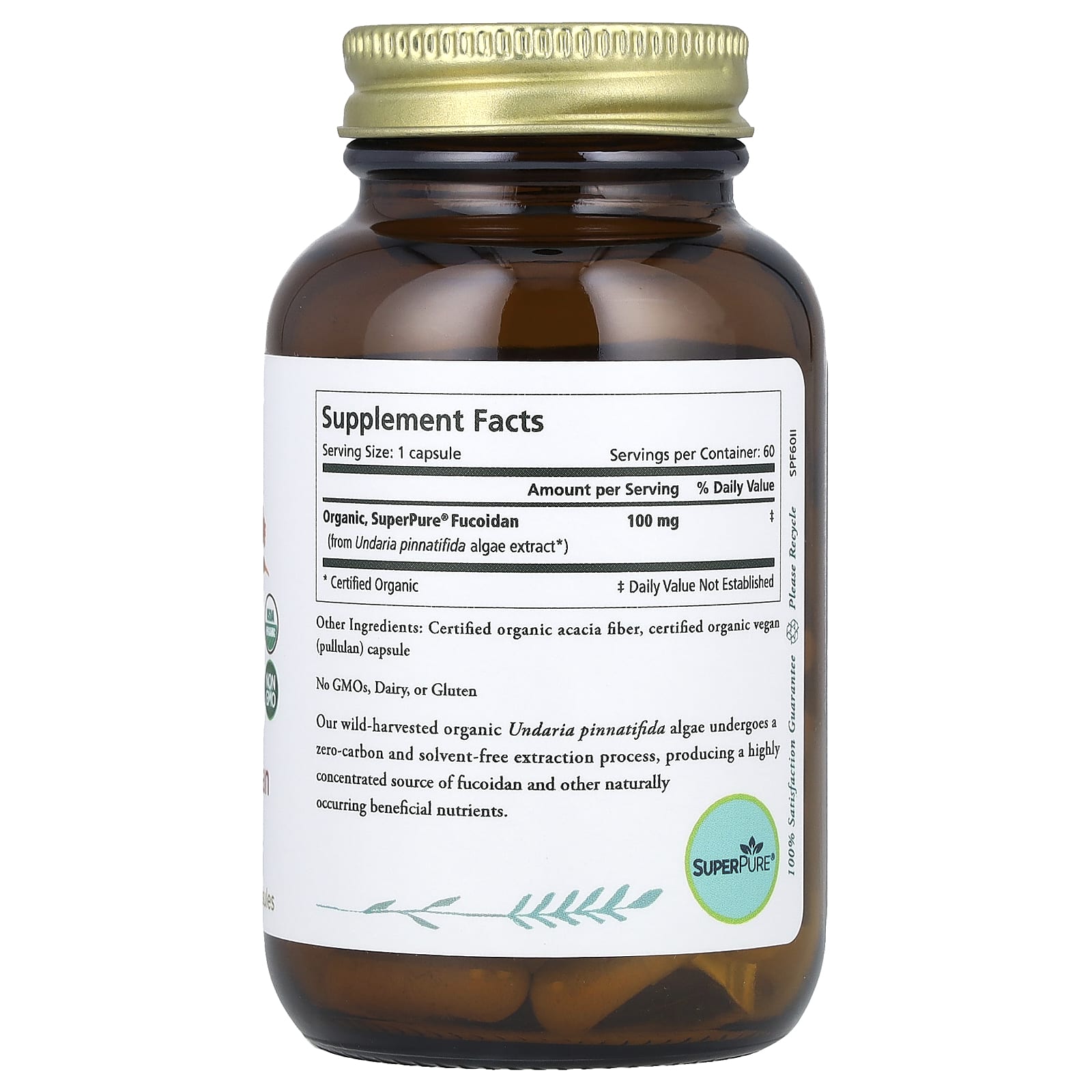 Pure Synergy, SuperPure® Fucoidan, 60 Capsules (100 mg Capsule)