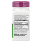 Nature's Way, Thisilyn®, Milk Thistle Extract, Standardized, 100 Vegan Capsules (175 mg per Capsule)