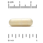 California Gold Nutrition, New Zealand Green-Lipped Mussel with Ginger Extract, 500 mg, 240 Veggie Capsules