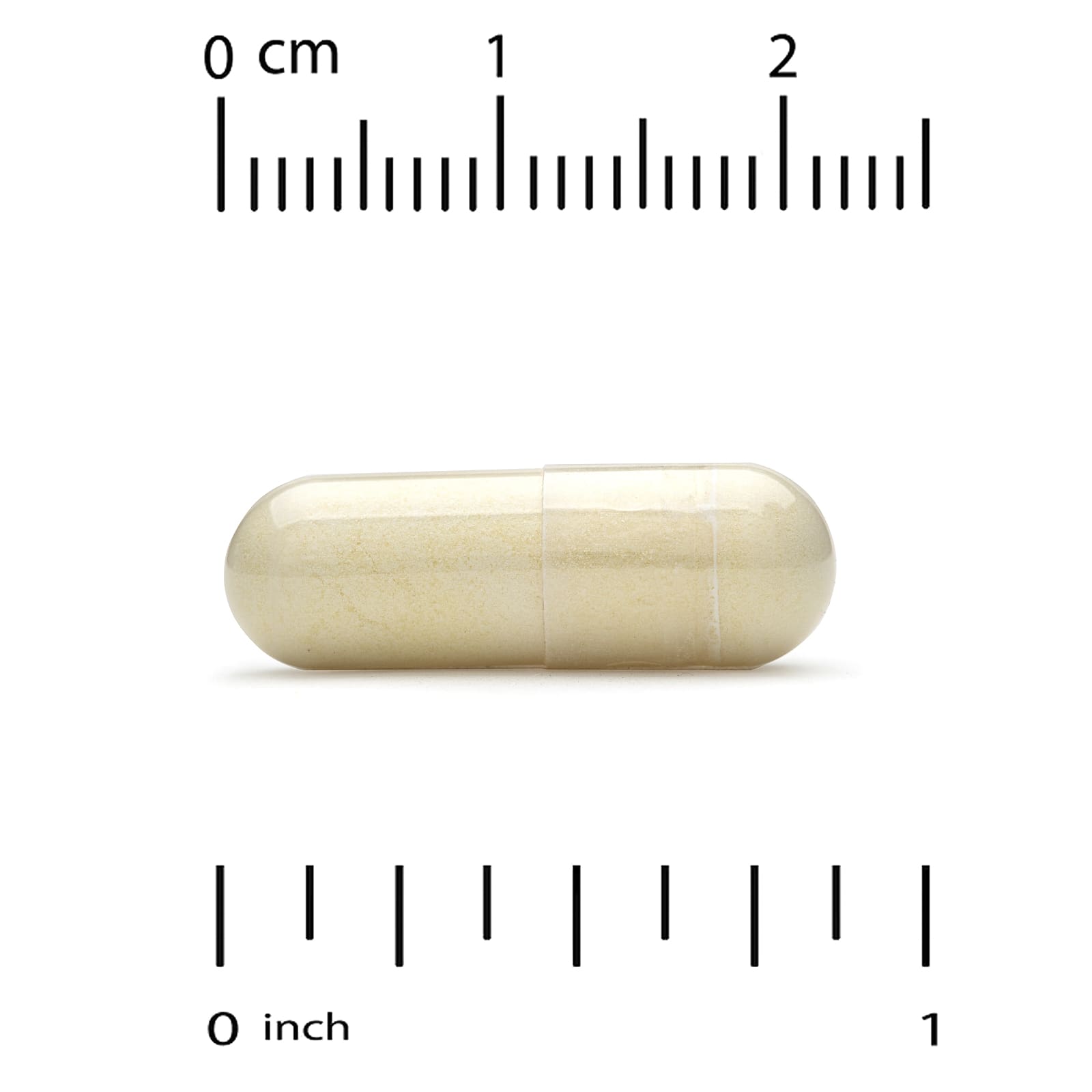 California Gold Nutrition, New Zealand Green-Lipped Mussel with Ginger Extract, 500 mg, 240 Veggie Capsules