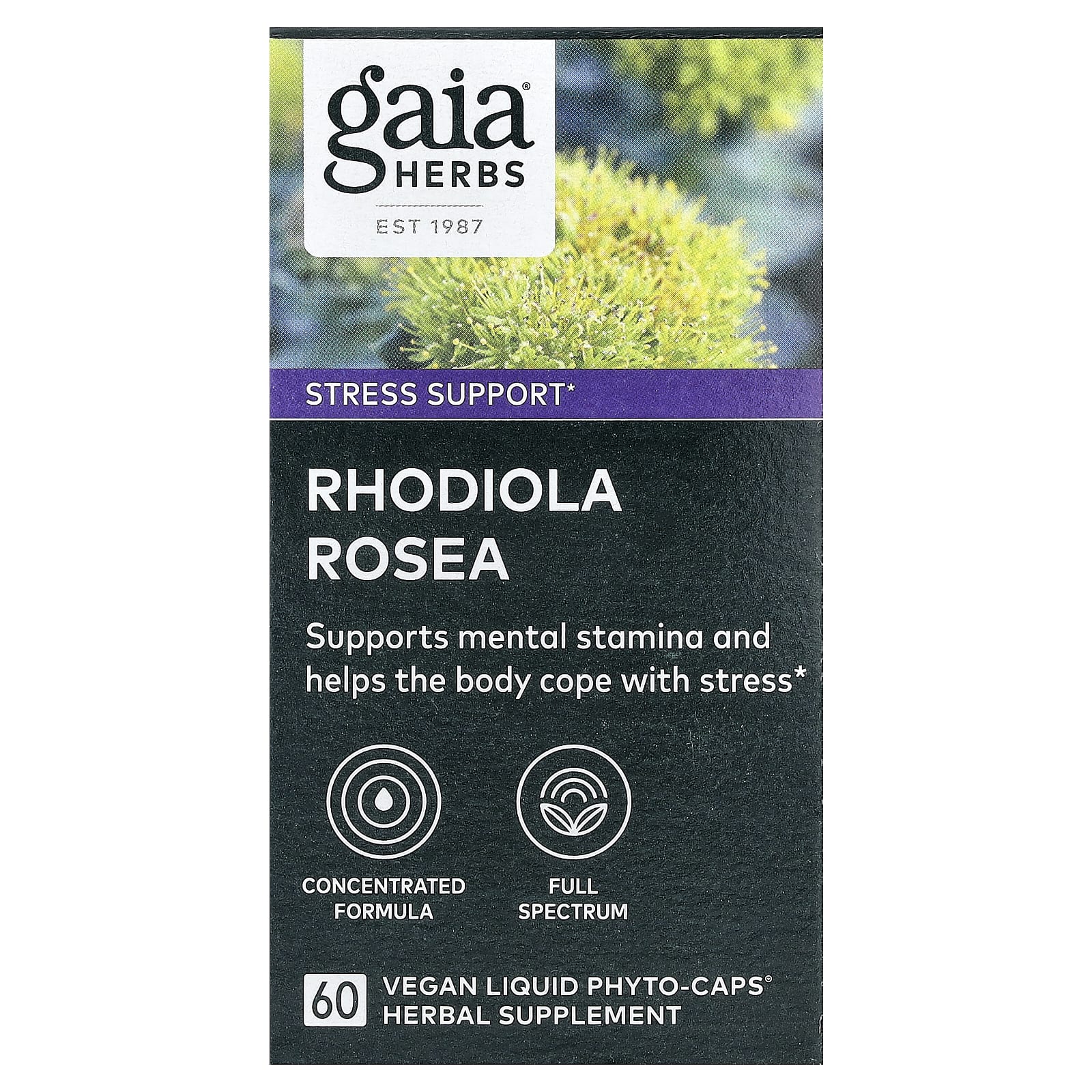 Gaia Herbs, Rhodiola Rosea, 60 Vegan Liquid Phyto-Caps
