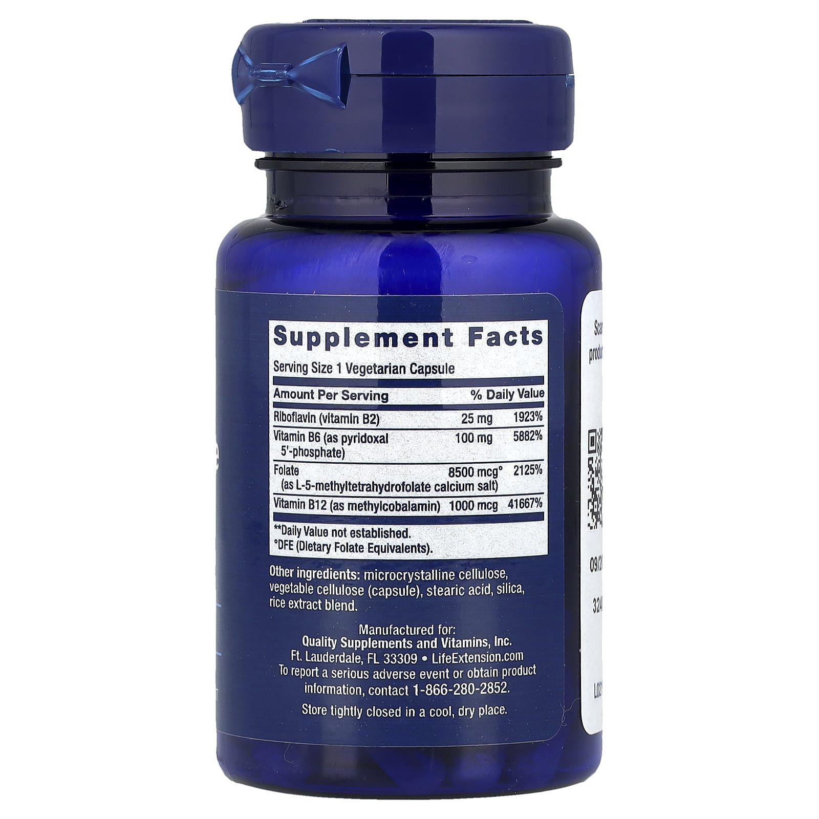 Life Extension, Homocysteine Resist, 60 Vegetarian Capsules
